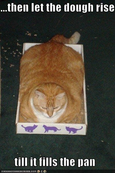 Forget the Diet - He likes you just the way you are!!