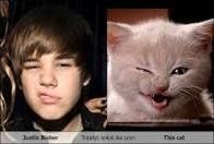 Is this rude?