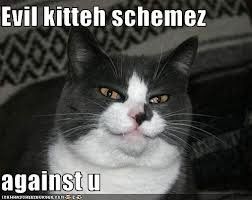 Mrs S....