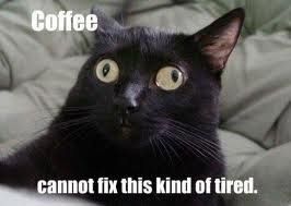 Monday, Monday, Monday