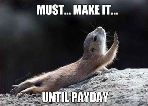 Friday Animal Humor
