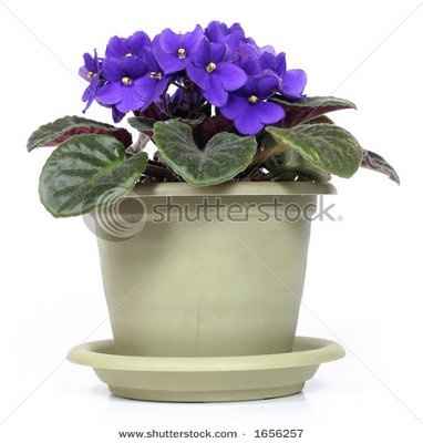 Can I see your centerpieces?