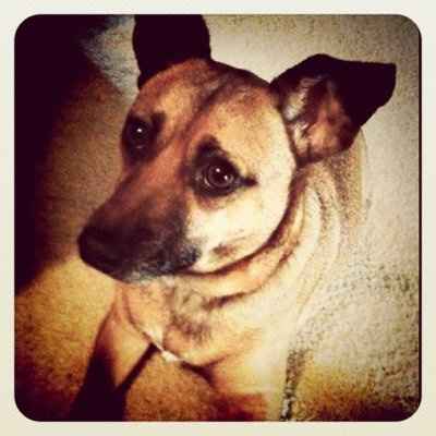 *NWR* Show me your pets/animals! *PICS*