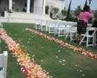 Aisle Runner or Rose Petals