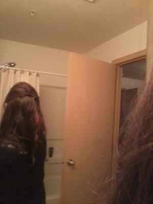 First Shot at DIY hair   my blusher!! :) *pics*