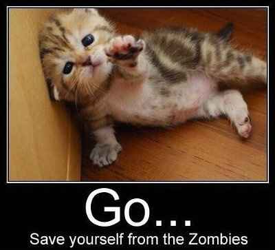 Need a smile?