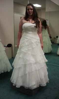 David's Bridal Brides - POST PICS OF YOUR DRESS!!!