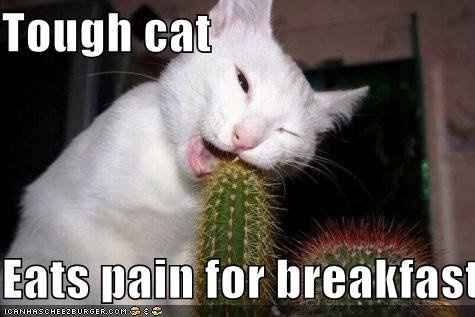 Oh my God, the drama!