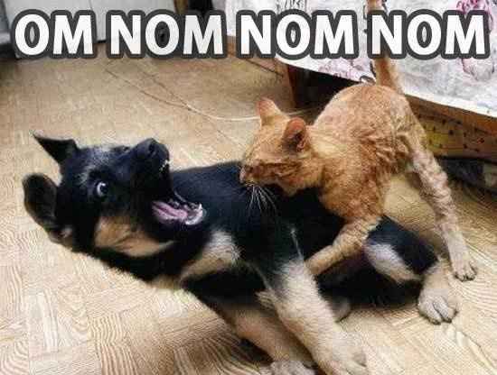 Oh my God, the drama!