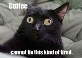 Monday, Monday, Monday