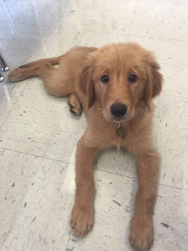 Is there any way to contact a mod?