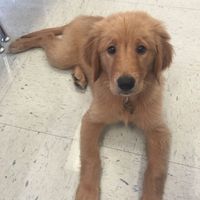 Is there any way to contact a mod?