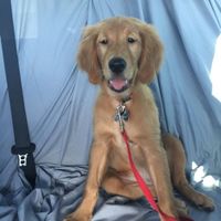 NWR - I'm a first time Auntie!