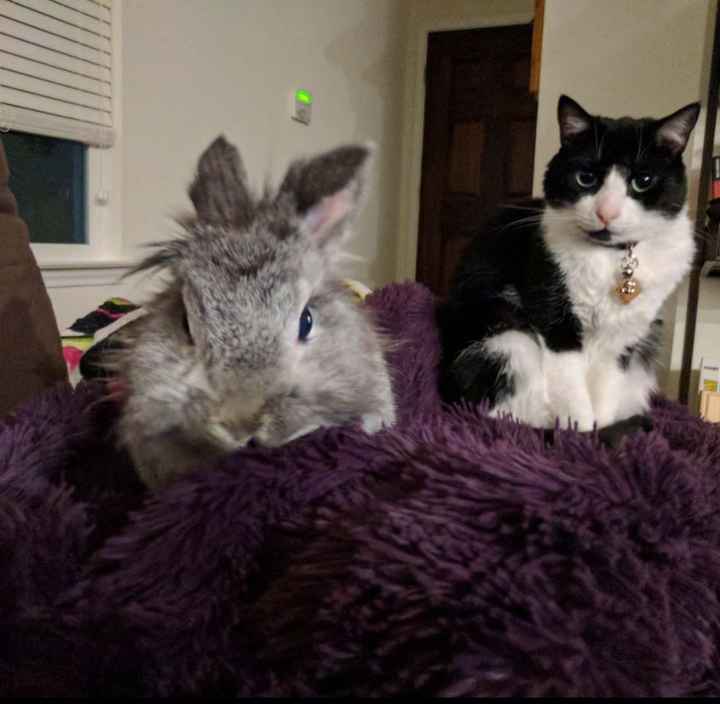 The line of 1000+ people