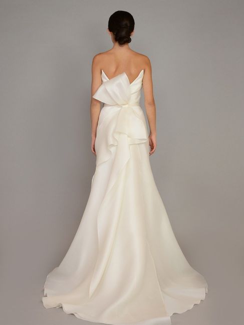Back of Dress