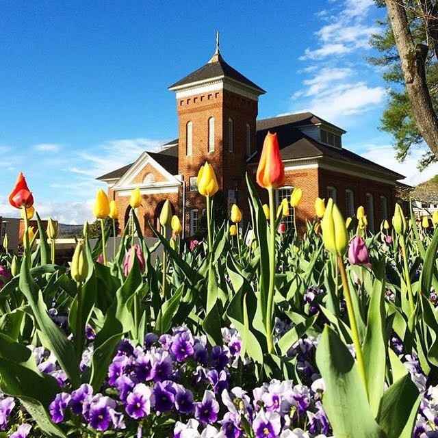 Venue Photo: Sharing the Tulips!