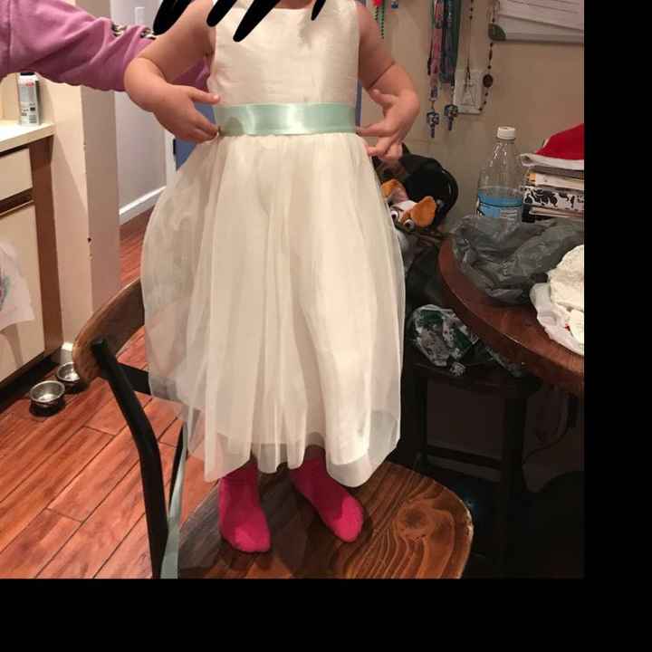  Flower Girl Dress Confusion - 1