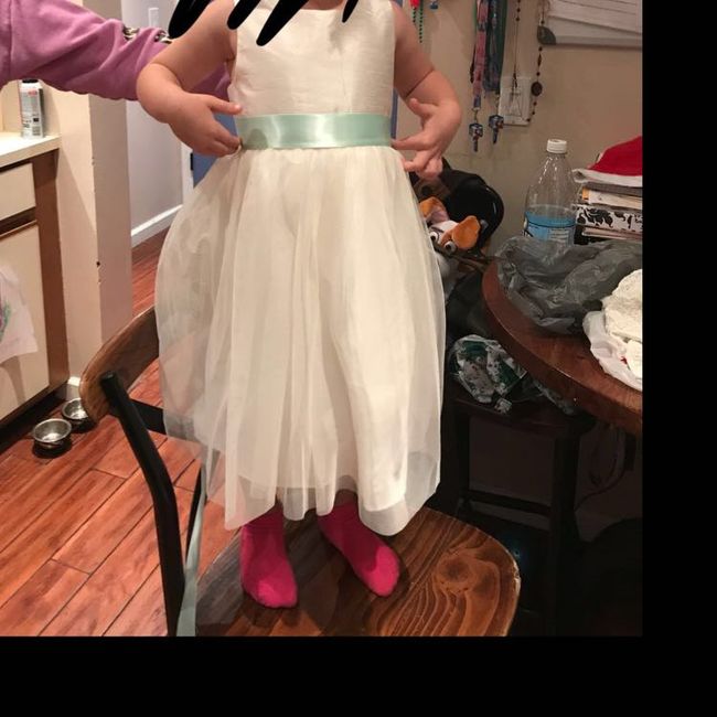 Flower Girl Dress Confusion 1
