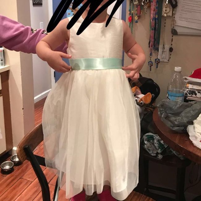 Flower girl dresses whereeeee - 1