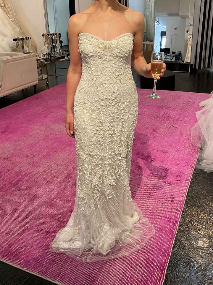 Questioning the dress - 1