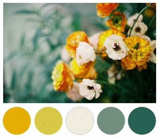 FH just doesn't like color