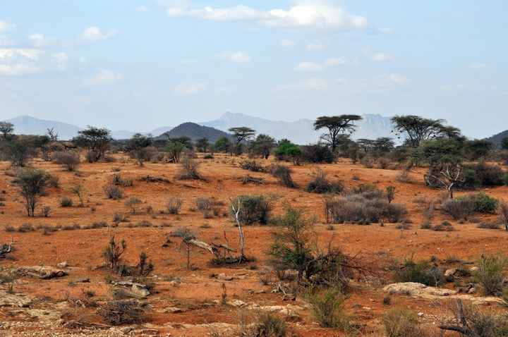 BAH!! Kenya Safari Honeymoon -- lots of pics & advice