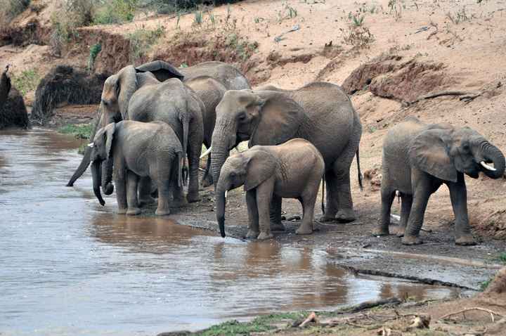 BAH!! Kenya Safari Honeymoon -- lots of pics & advice