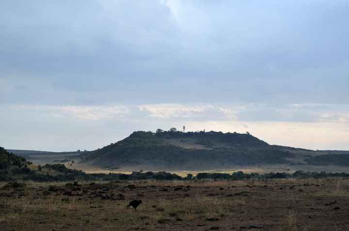 BAH!! Kenya Safari Honeymoon -- lots of pics & advice