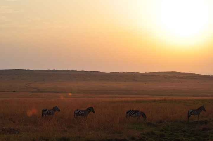 BAH!! Kenya Safari Honeymoon -- lots of pics & advice