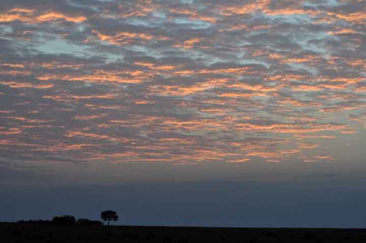 BAH!! Kenya Safari Honeymoon -- lots of pics & advice