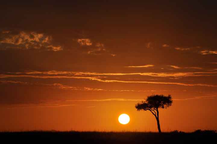 BAH!! Kenya Safari Honeymoon -- lots of pics & advice