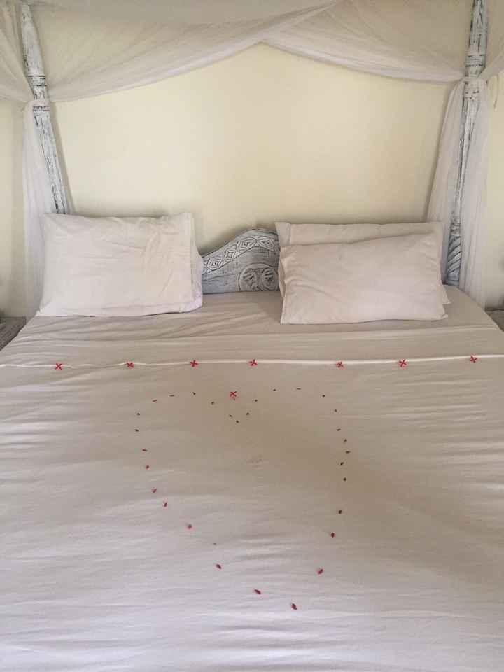 BAH!! Kenya Safari Honeymoon -- lots of pics & advice