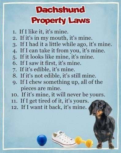 NWR - Spin off of Puppies post...