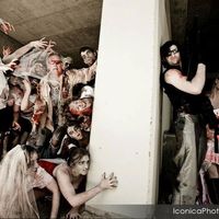 Ok I have to ask and I feel a little dumb...what is trashing the dress about?