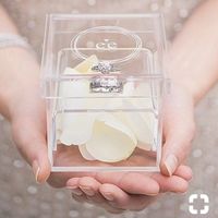 Ring bearers - What are they caring down the aisle? - 1