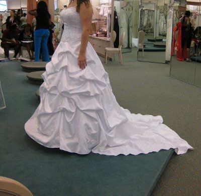 Not your dream dress (pic heavy)