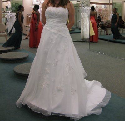 Not your dream dress (pic heavy)