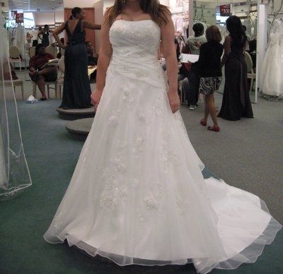 Calling all David's Bridal Brides... Let's see all the dresses and see who's dress twins! :D