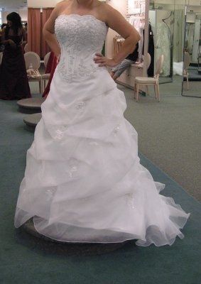 Calling all David's Bridal Brides... Let's see all the dresses and see who's dress twins! :D