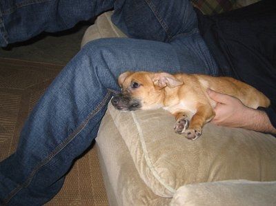 need help settling a looooong argument (NWR)