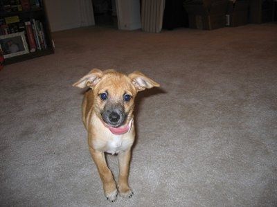 need help settling a looooong argument (NWR)