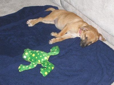 need help settling a looooong argument (NWR)