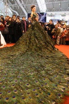 Funny wedding related pictures