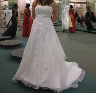 Not your dream dress (pic heavy)