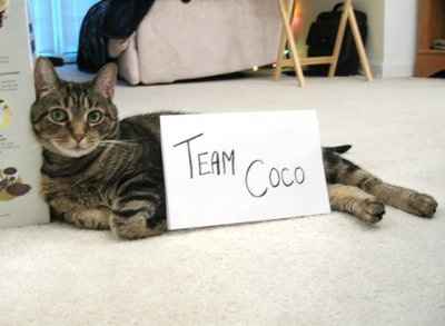 Show off your furbabies!