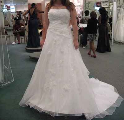 Calling all David's Bridal Brides... Let's see all the dresses and see who's dress twins! :D