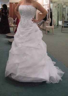 Calling all David's Bridal Brides... Let's see all the dresses and see who's dress twins! :D