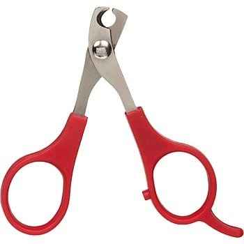 NWR: Cat owners, can you help me?