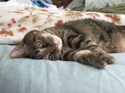 Let's get to know each other ladies!