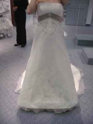 Dress shopping adventure